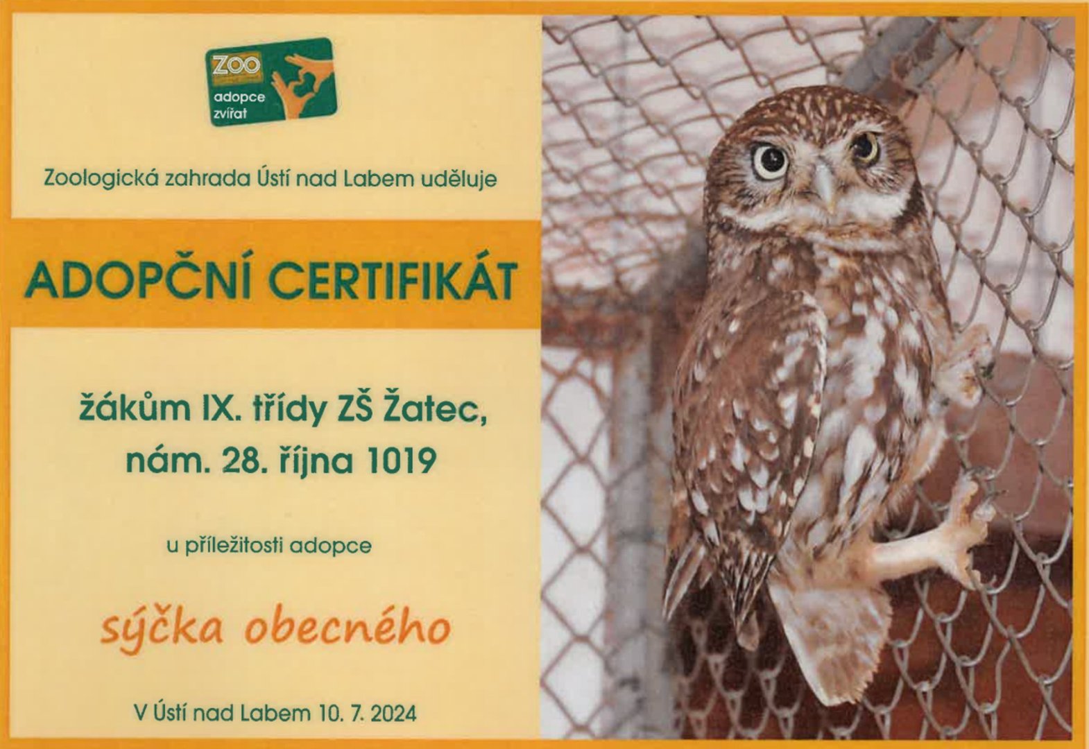 Školáci se stali adoptivními rodiči sýčka obecného
